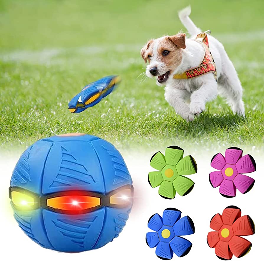 Dog Ball and Frisbee, 2 in 1