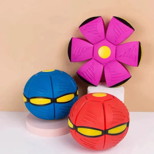Dog Ball and Frisbee, 2 in 1