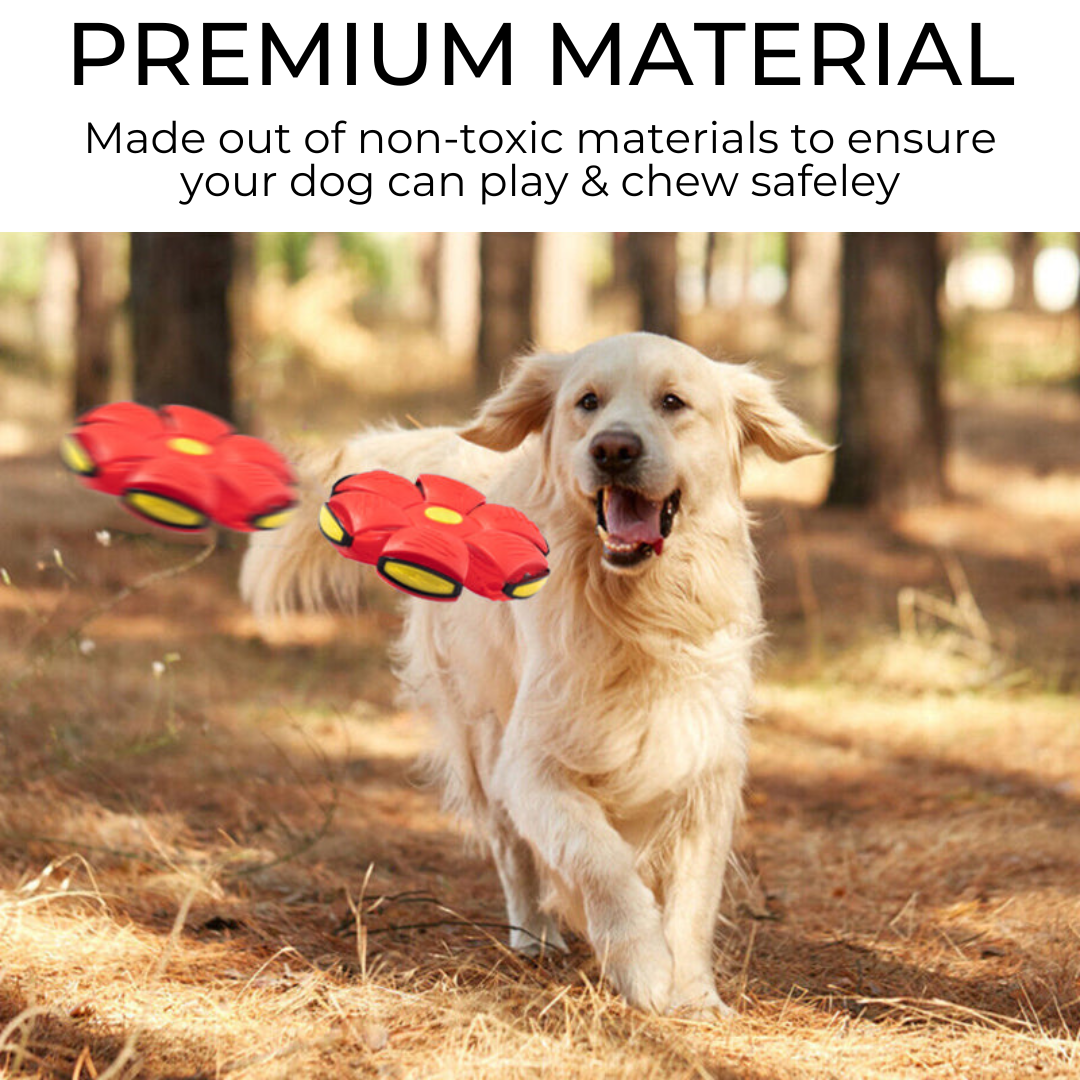 Dog Ball and Frisbee, 2 in 1